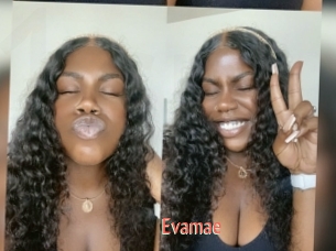 Evamae