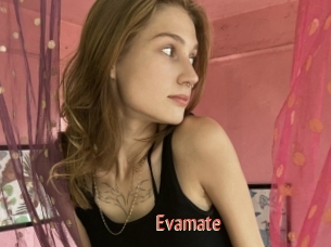 Evamate