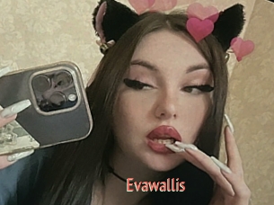 Evawallis