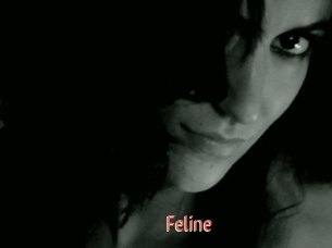 Feline