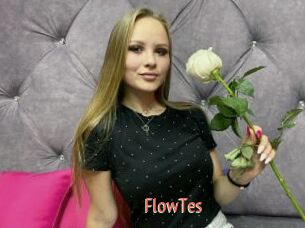 FlowTes
