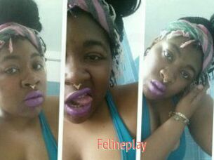 Felineplay