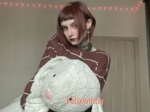 Felixwinter