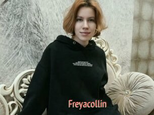 Freyacollin