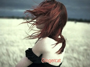 Gingercat