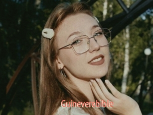 Guineverebible