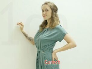 Gunesh