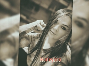 Harleyboo