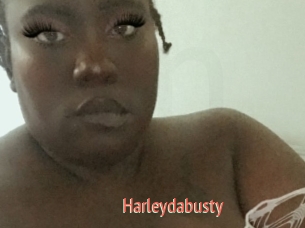 Harleydabusty