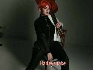 Harleysnake