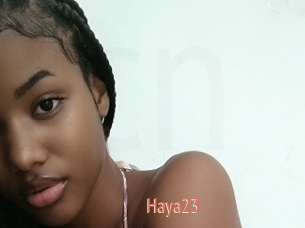 Haya23