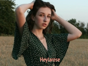 Heylarose