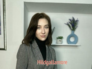 Hildgallamore