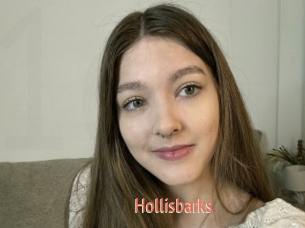 Hollisbarks