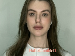 Hollisbramblett