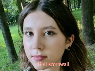 Holliscornwall