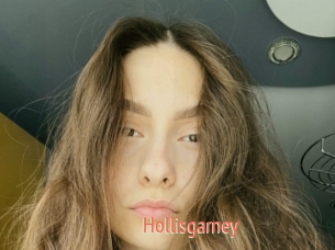 Hollisgarney