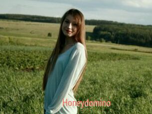Honeydomino