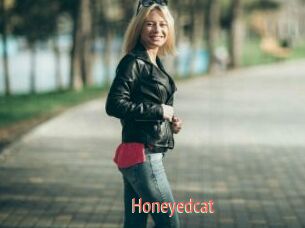 Honeyedcat