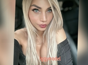 Iggymodel