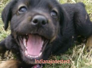 Indianajonestest