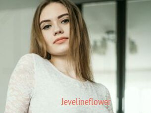 Jevelineflower