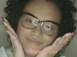 Juniper_camrose