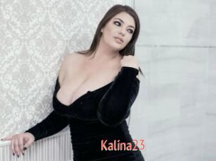 Kalina23