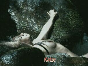 Katze