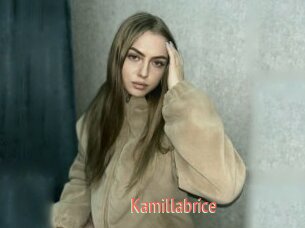 Kamillabrice