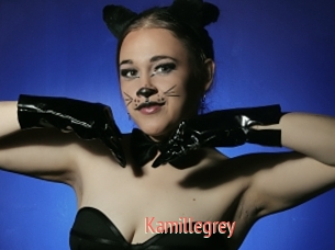 Kamillegrey