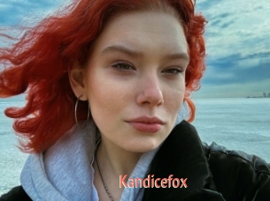 Kandicefox