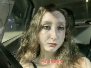 Kandikatie