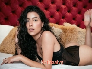 Karinaalvy