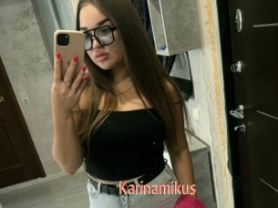 Karinamikus