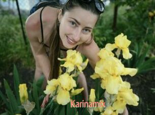 Karinamix