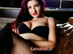 Karinasodi18