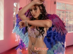 Kattrose