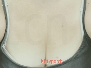 Kittyporch