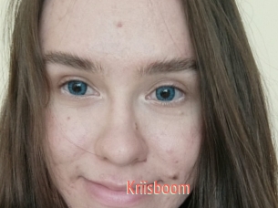 Kriisboom