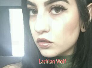 Lachlan_Wolf