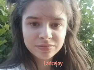 Laricejoy