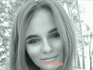 Lavamina