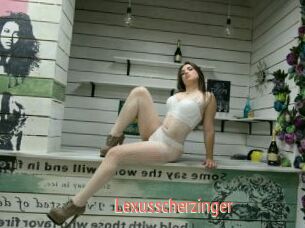 Lexusscherzinger