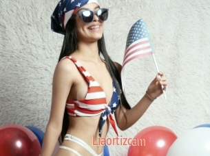 Liaortizcam
