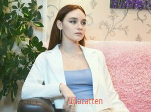 Lilacatten