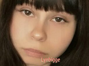 Lynbigge