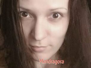 Mandragora