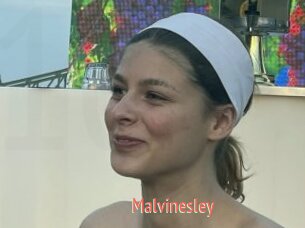 Malvinesley