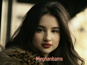 Meghanbarns